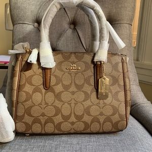 Coach Mini Surrey Carryall In Signature Canvas